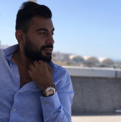 Şahin