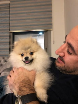 Serdar