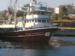 Şaban