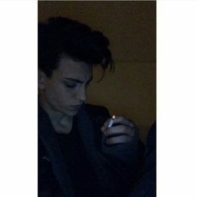 Şahin