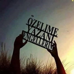 Şahin