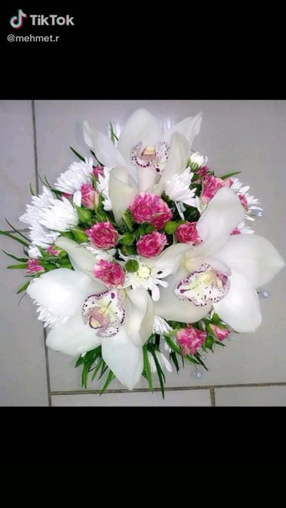 Hsn