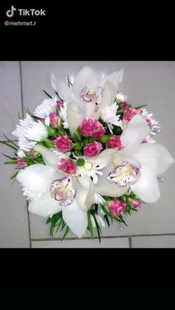 Hsn