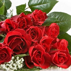 Emine