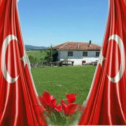 Rasim