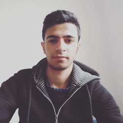Ferdi