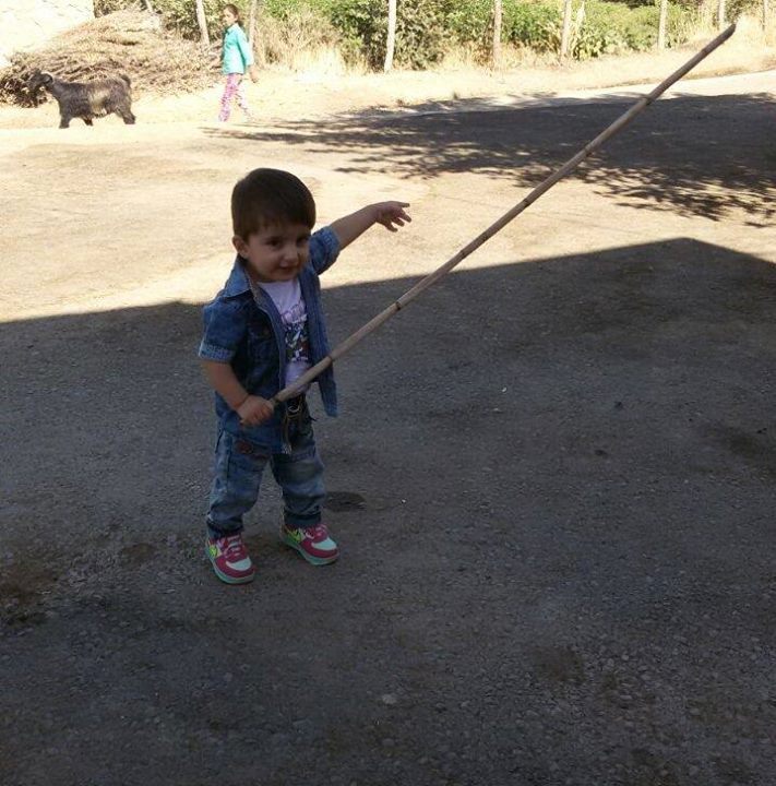 Vedat