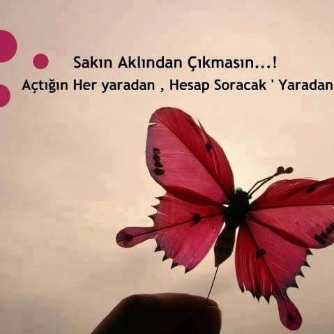 Seyma