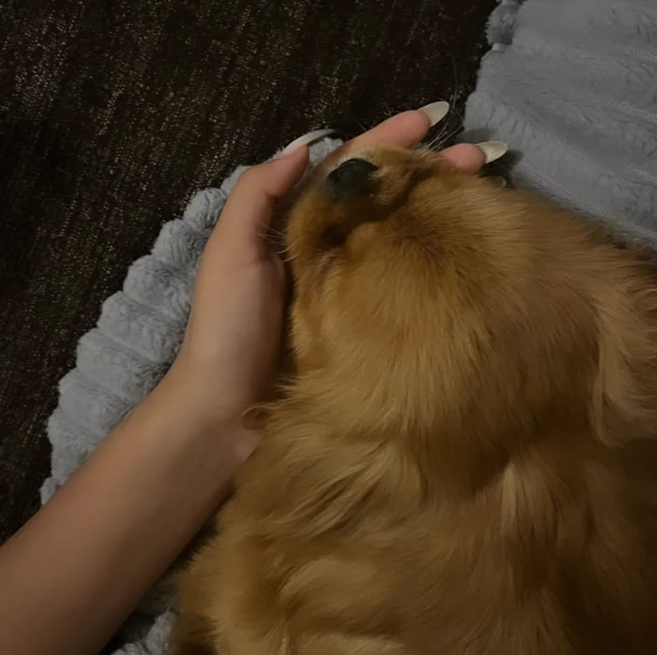 Denuz