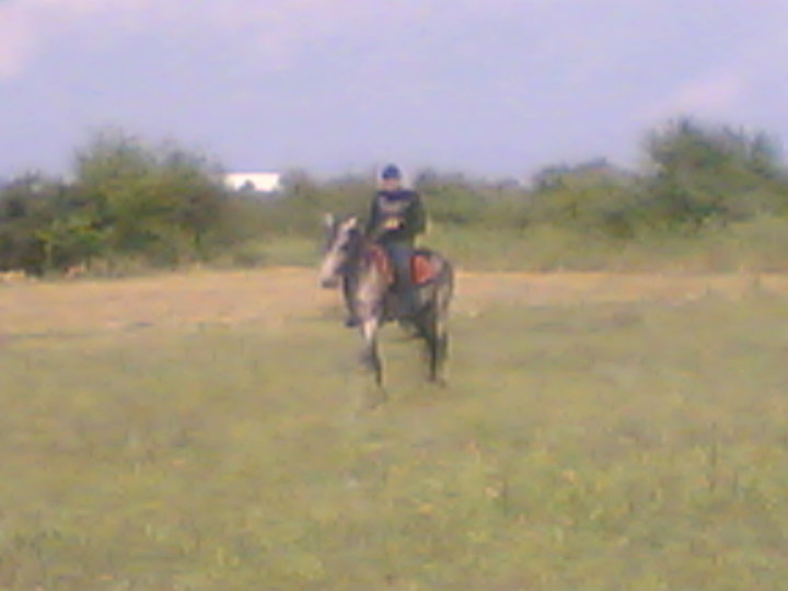Kaan