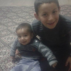 Veysel