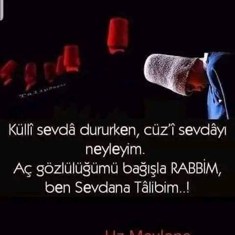 Beyaz