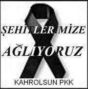 Evrim