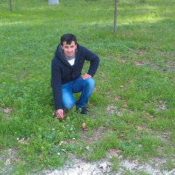 Nevzat
