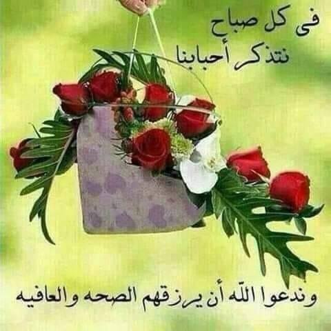 Watinet