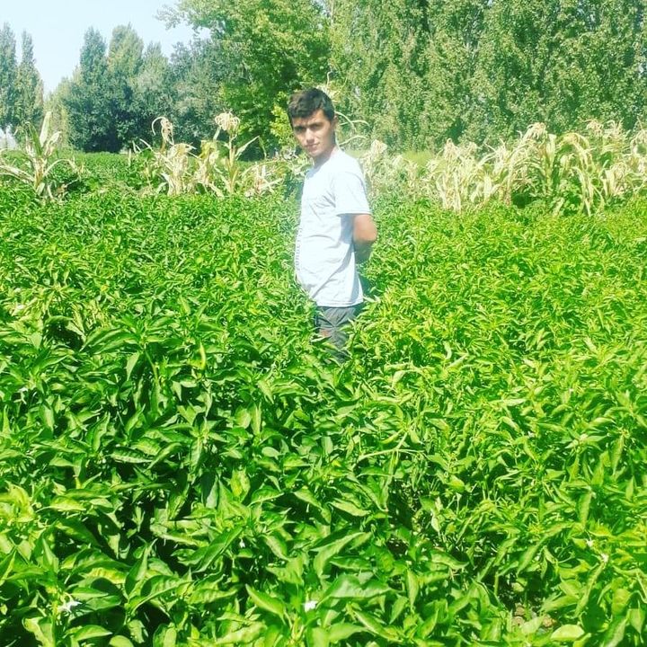 Necati