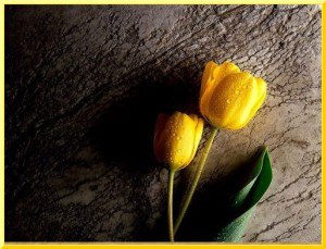 Arzu