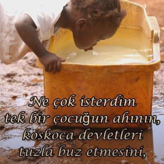 Nuuribu