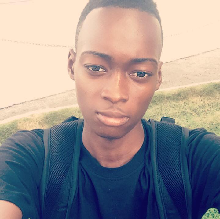 Avo