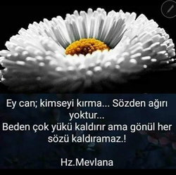 Aslı