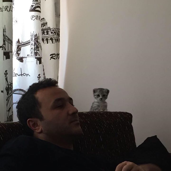 Cafer