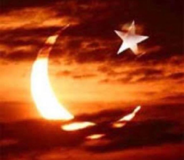 Murat