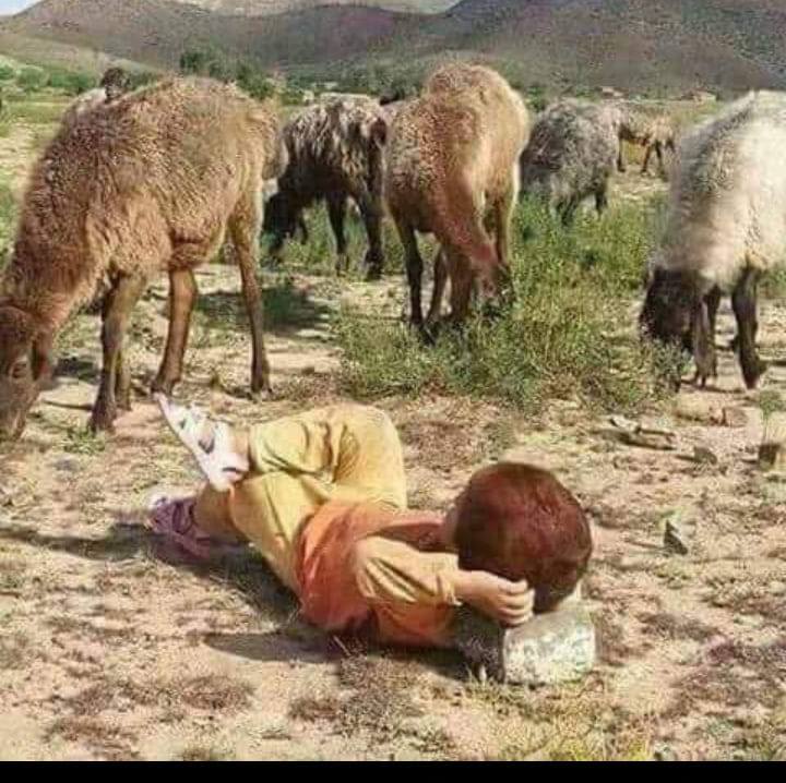 أابو