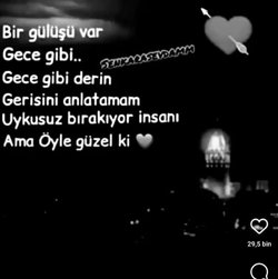 Elanur