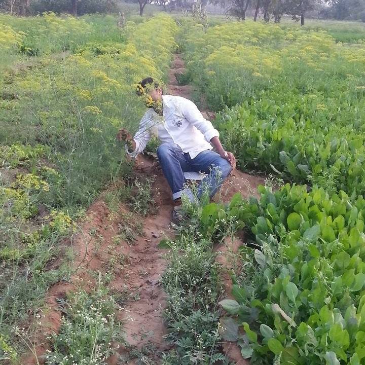 Ayub