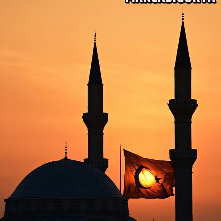 Nur