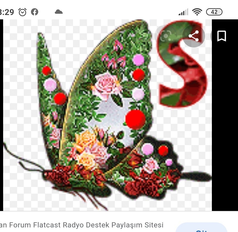 Songül