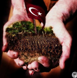 Mert