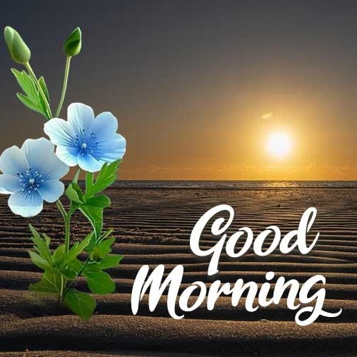 Mahroz