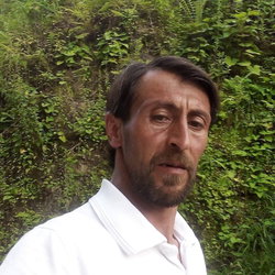 Öz