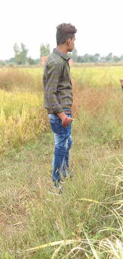 Mehul