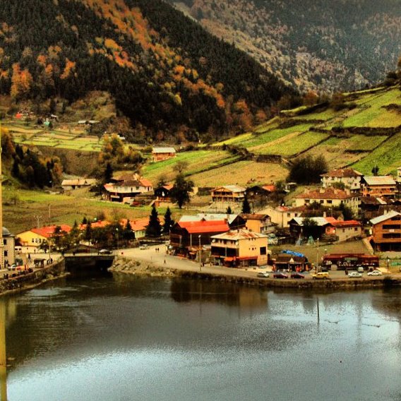Bütün