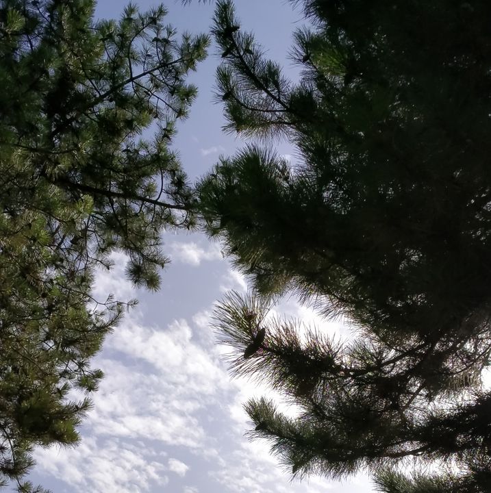 Aslı