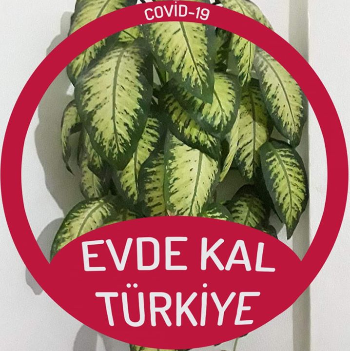 Merve