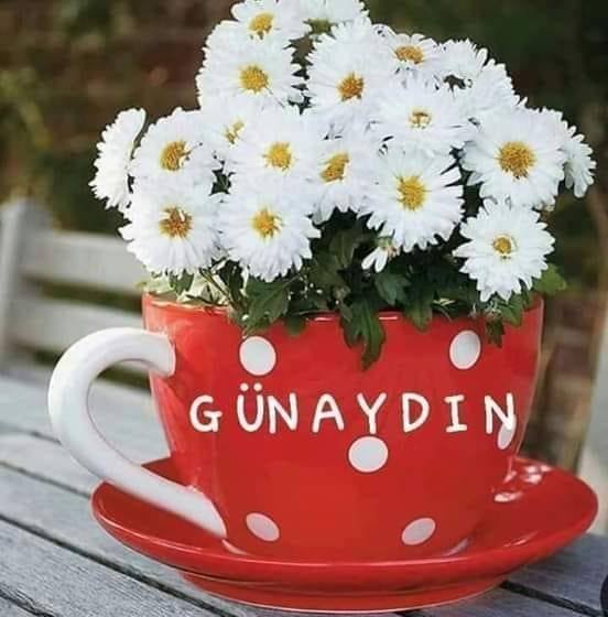 Aydin