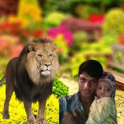 Arman