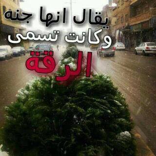 Taha