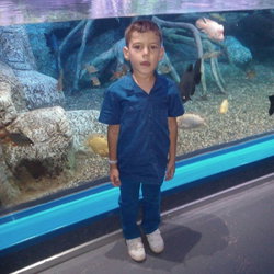 Filiz