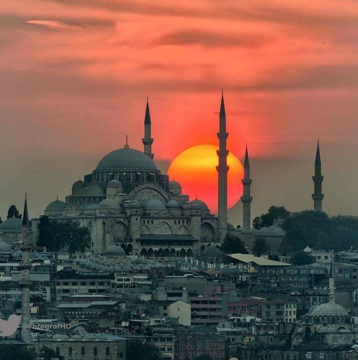 Mithat