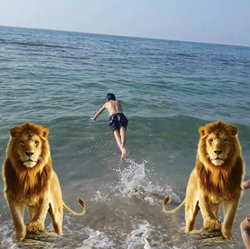 زبير