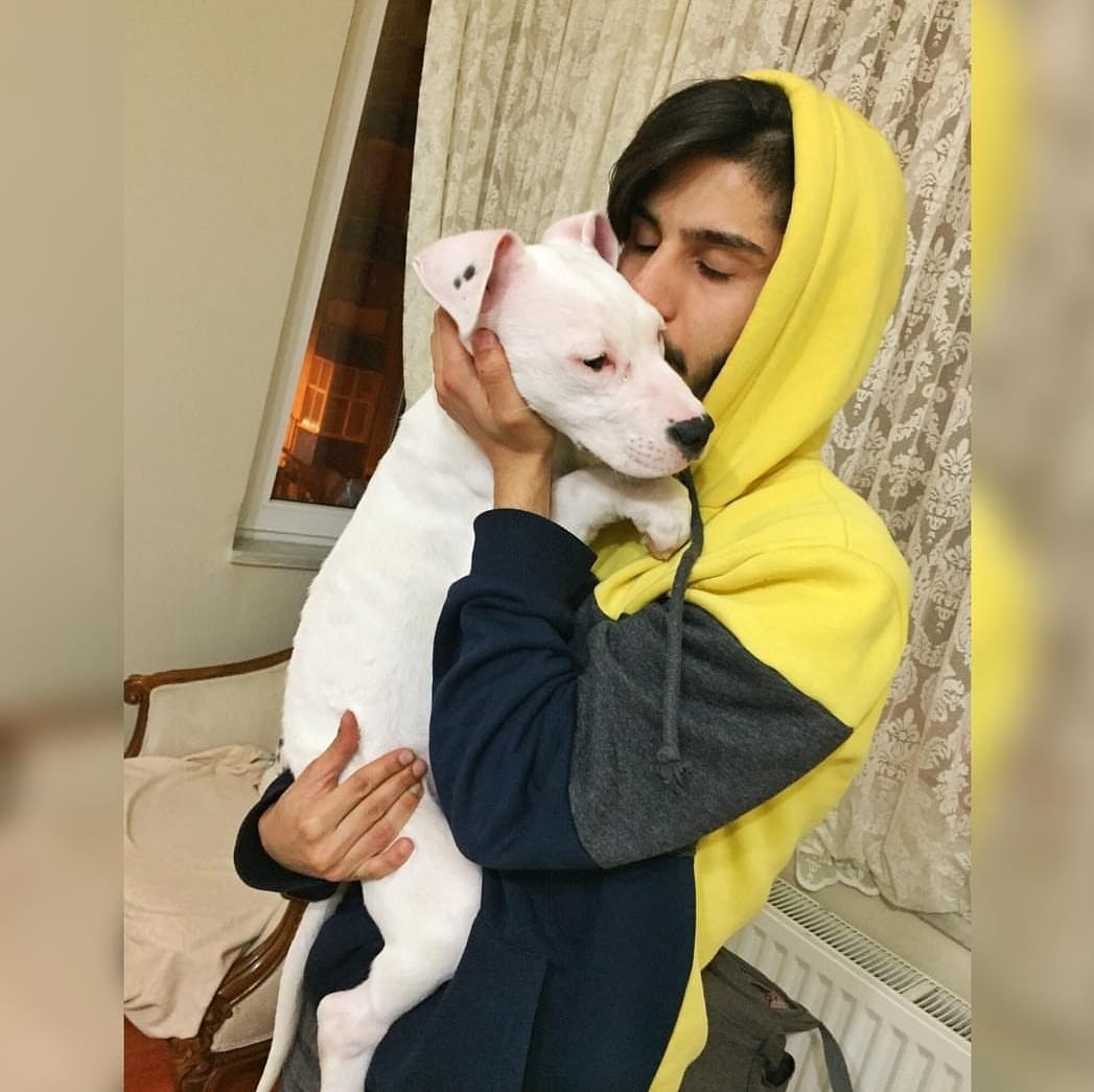 Elvan