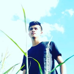 Zaid