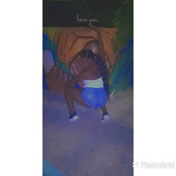 Thickiana