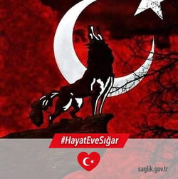 Reşit