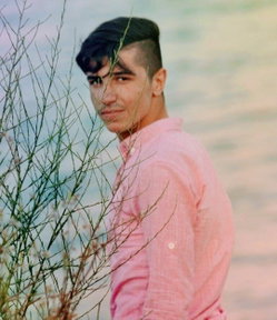 Enis