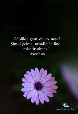 Elif